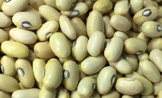 BEANS